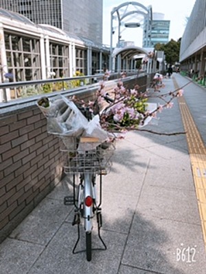 自転車と桜✩.*˚
おはの画像