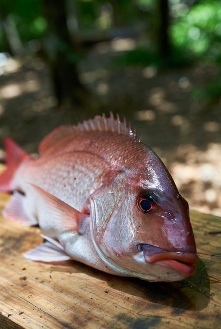 霞-かすみ-の日記