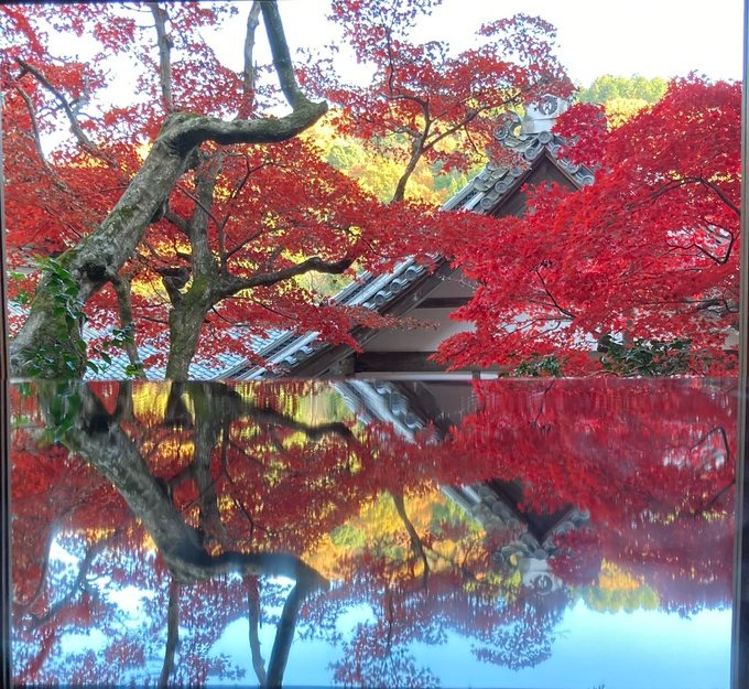 空（そら）の日記