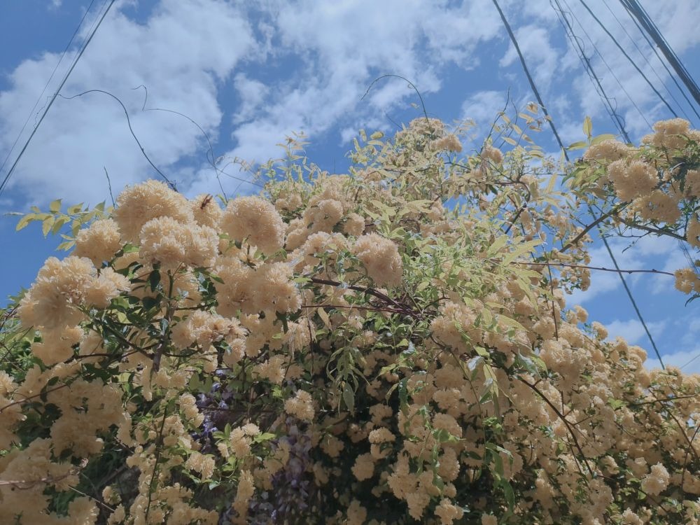 休憩中にーパシャリなの画像