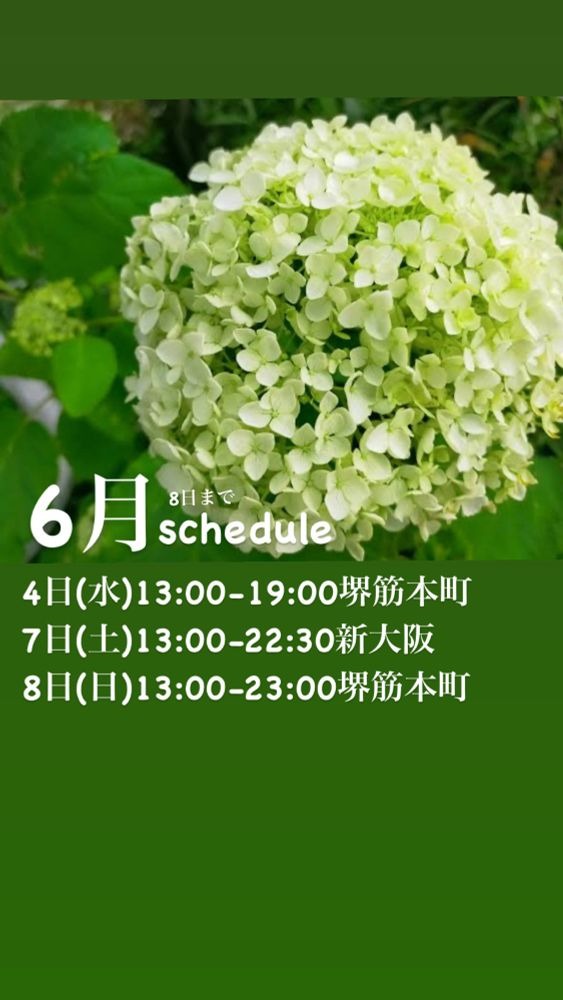 琴乃-ことの-の日記