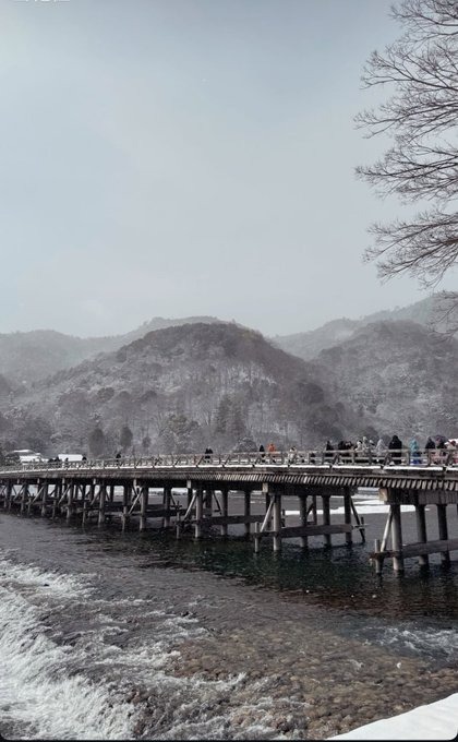 伊予の日記