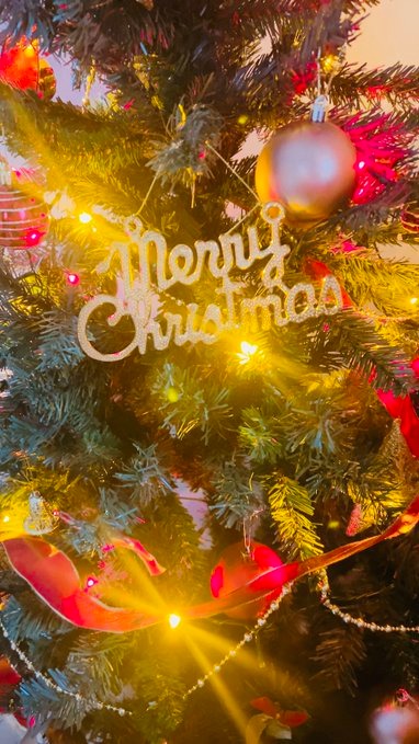 紗奈（さな）の日記