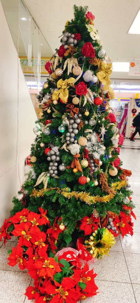 春-はる-の日記