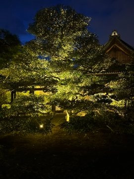 おはようございます✨#の画像