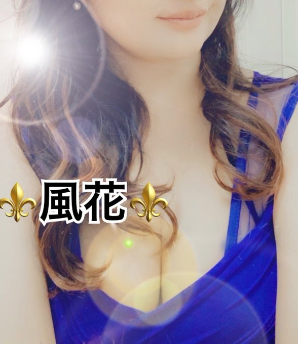 ❤️お礼❤️⚜️ラスト会員の画像