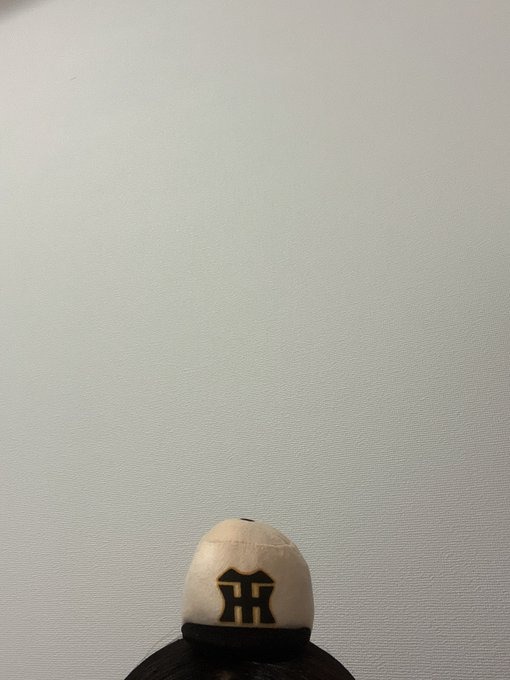 先週の土曜日はおやすの画像
