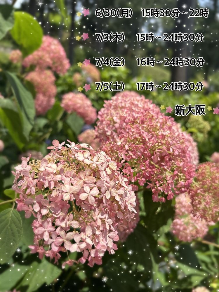 心春の日記