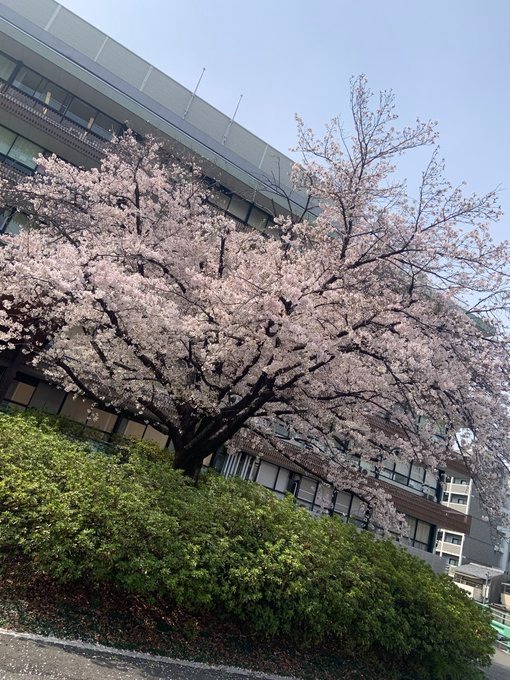 瀬川の日記
