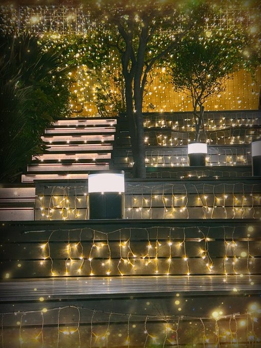 由美-ゆみ-の日記