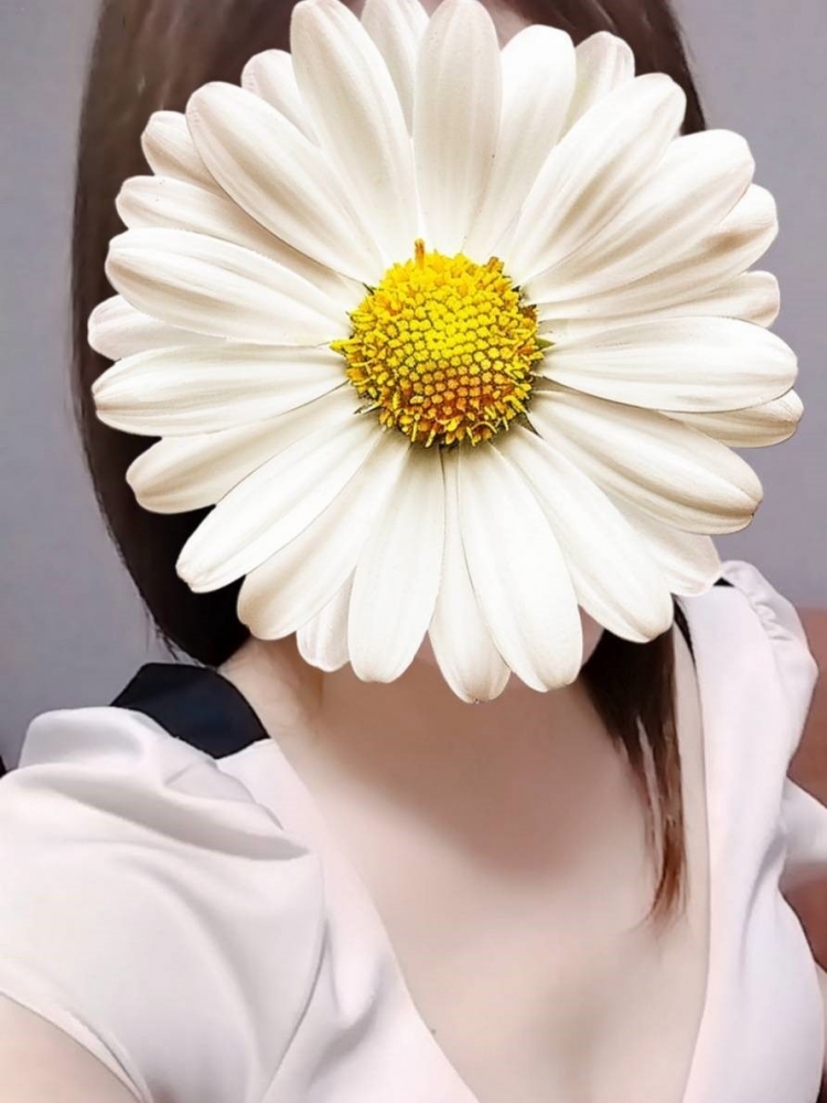 朝からの雨も上がり蒸の画像