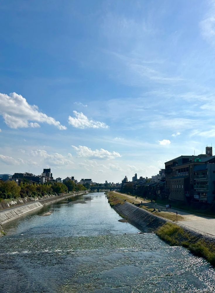 彩子（あやこ）の日記