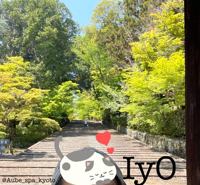 伊予の日記