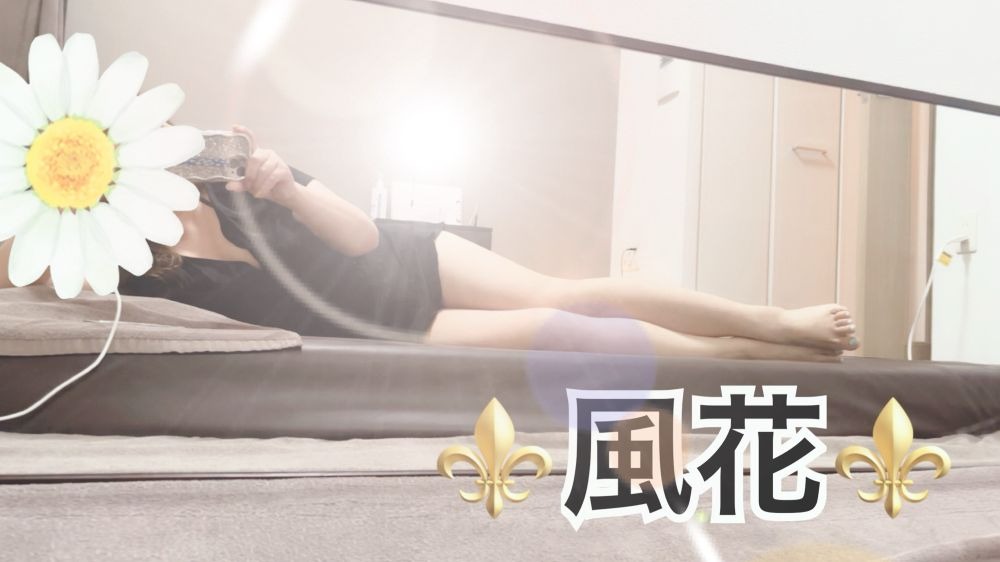 ⚜️&#x1F233;情報⚜️ごの画像