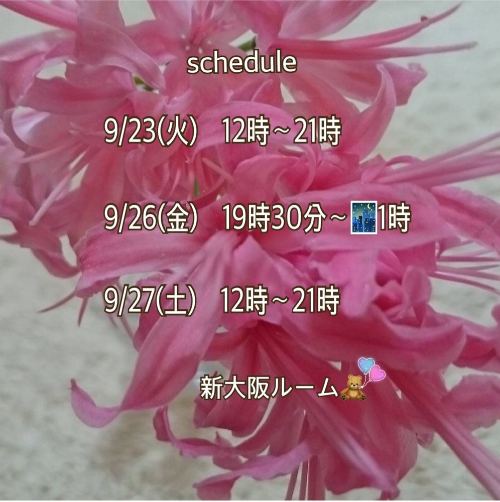 次回の出勤予定ですᝰ✍の画像