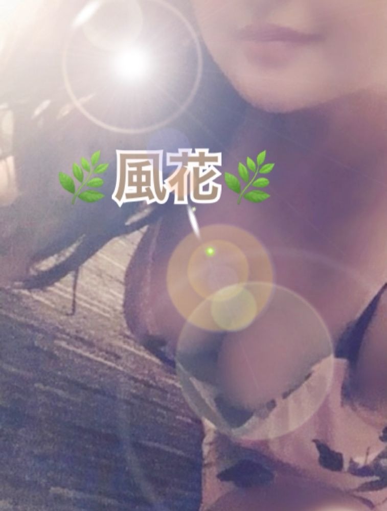 ⚜️&#x1F233;情報⚜️ごの画像