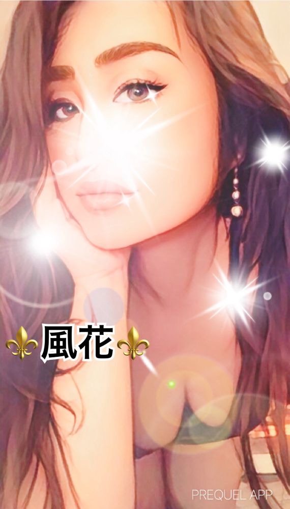 ⚜️⚜️⚜️⚜️⚜️⚜️⚜️⚜️⚜️⚜️の画像