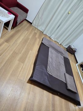 洋子（ようこ）の日記