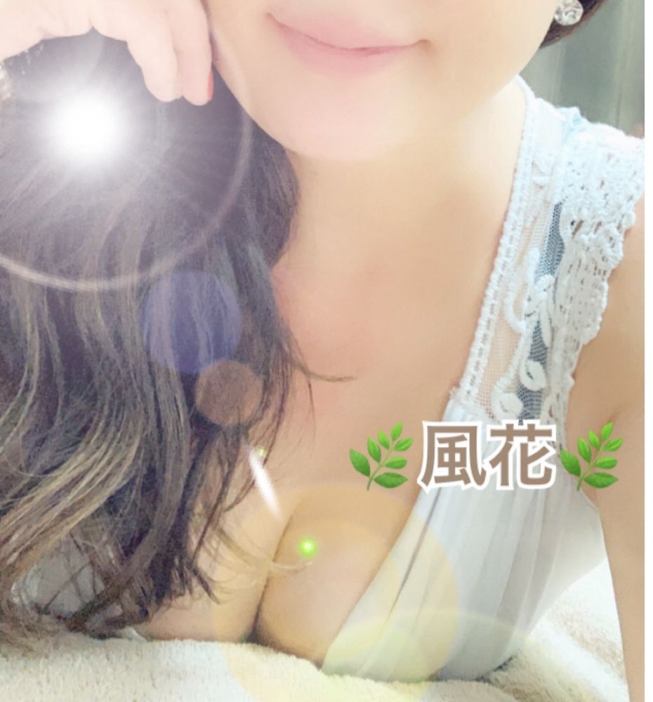 ❤️お礼❤️⚜️ラストご新の画像