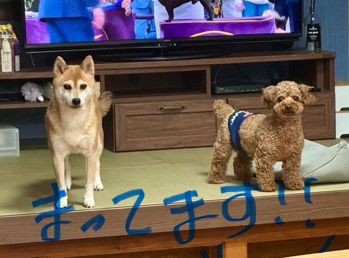 紬（つむぎ）の日記