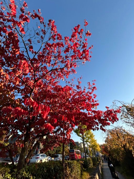 おはようございます&#の画像