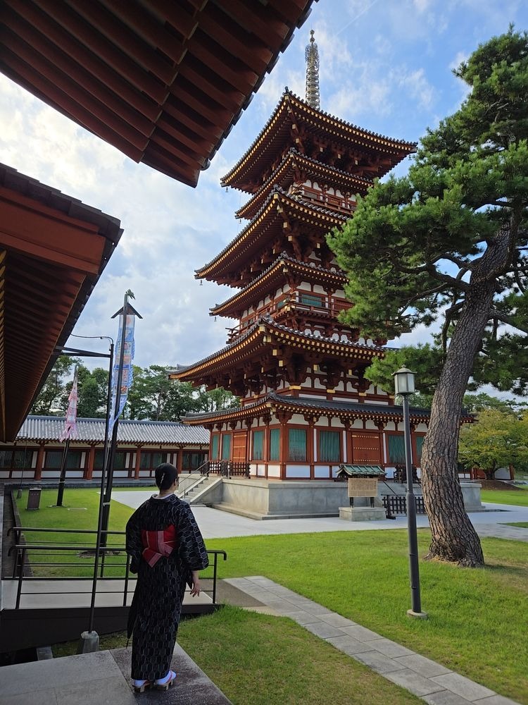 洋子(ようこ)の日記