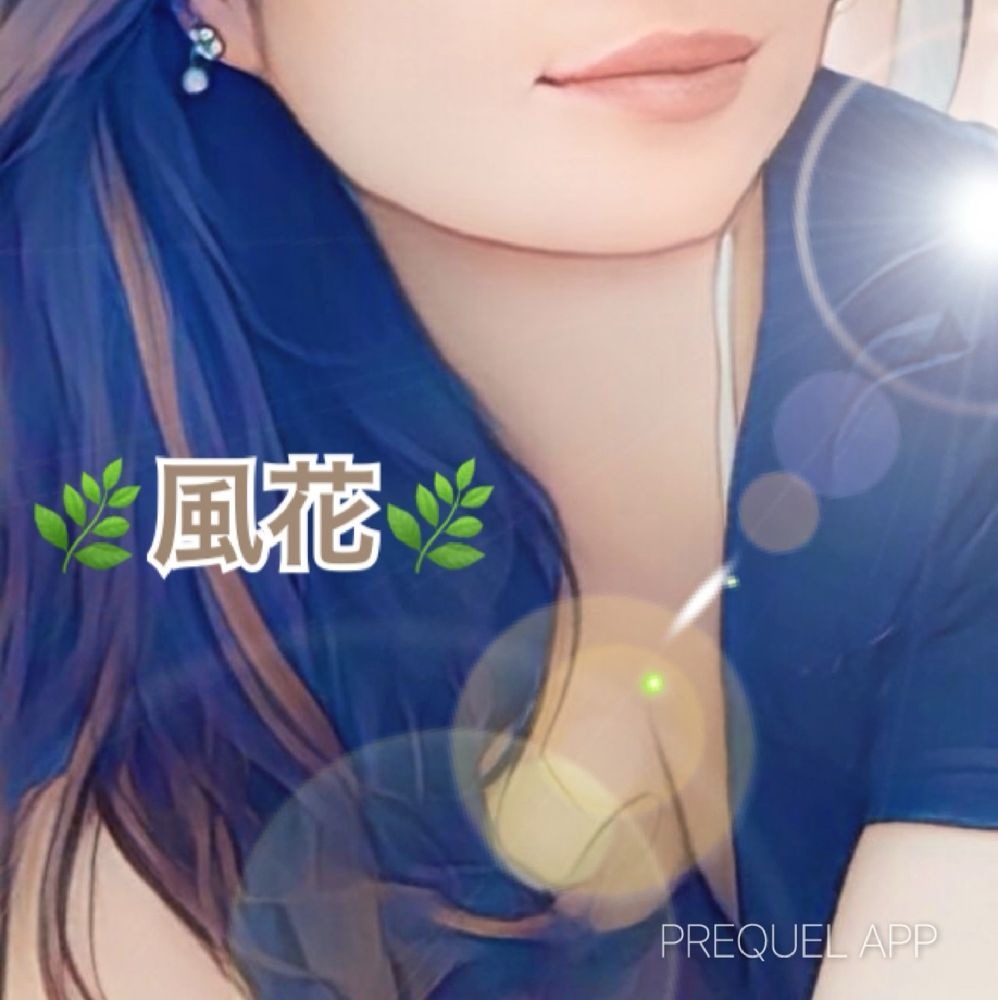 風花(ふうか)の日記