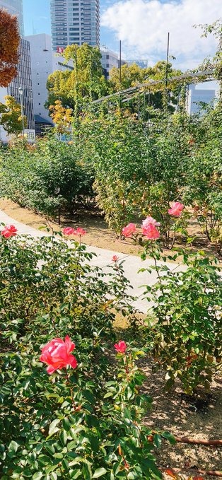 今年も一年間ありがとの画像