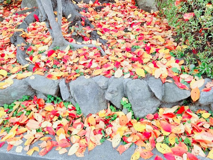 こんばんは🥰の画像