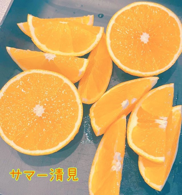 伊予の日記