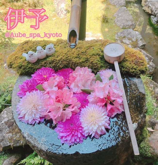 伊予の日記