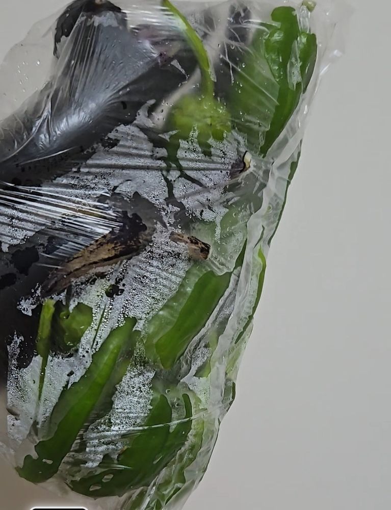 11時45分～N様自作のの画像