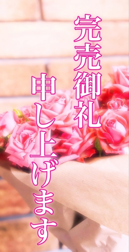 今日はいつもより長めの画像