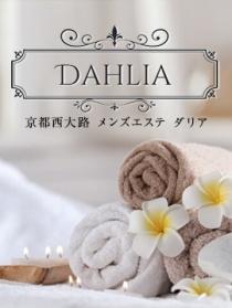DAHLIA-ダリア-